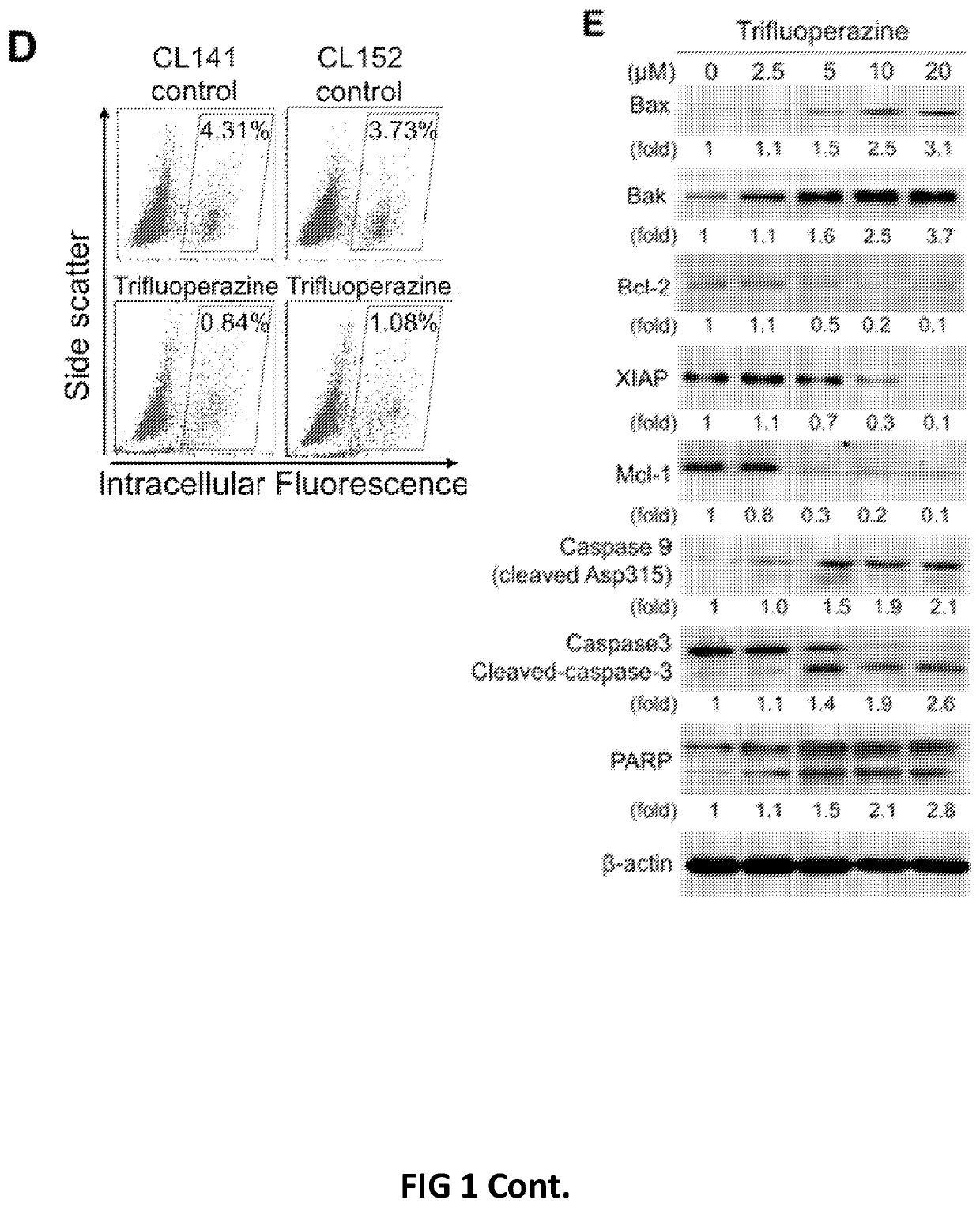 Pharmaceutical composition for treatment of cancer using phenothiazine