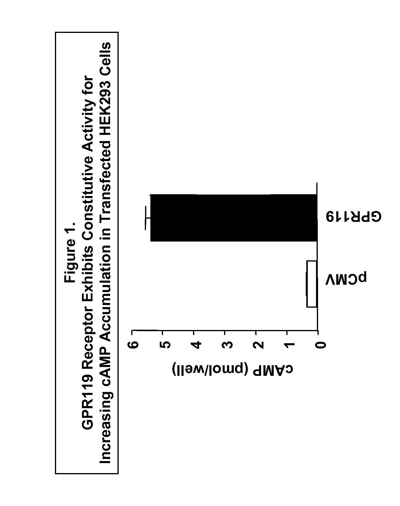 Methods of using a g protein-coupled receptor to identify peptide yy (PYY) secretagogues and compounds useful in the treatment of conditions modulated by pyy