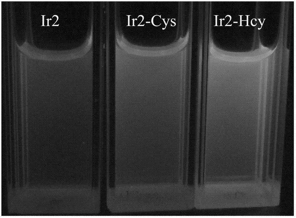 Cysteine detection method