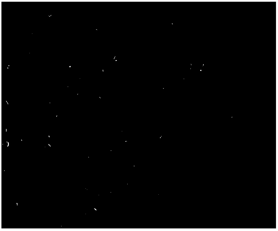 A human bronchial epithelial cell line hbe-tt