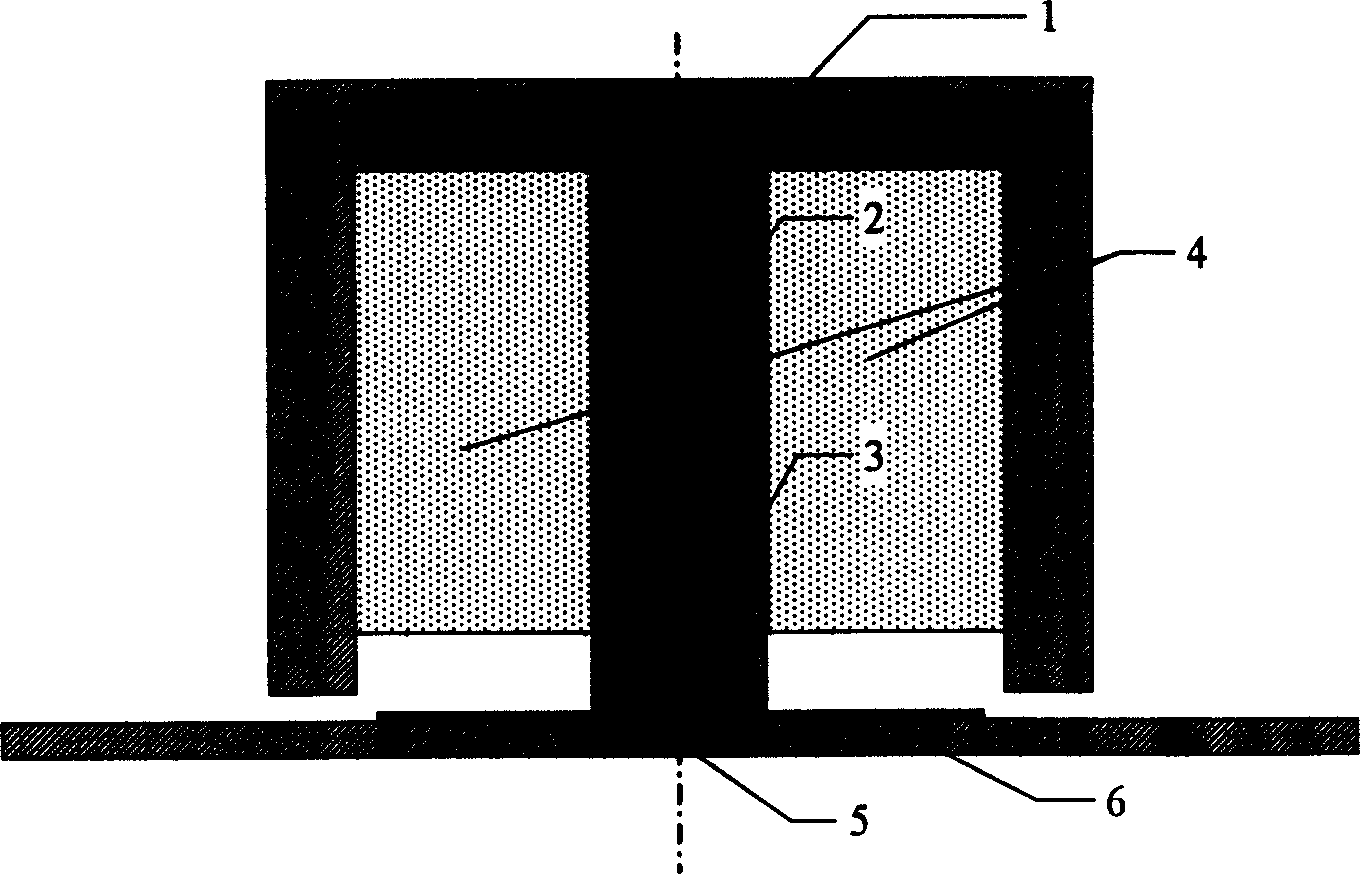 High voltage electrode device for space charge measuring system by electroacoustic pulse method