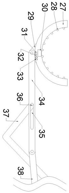 Limewater spraying device for forests