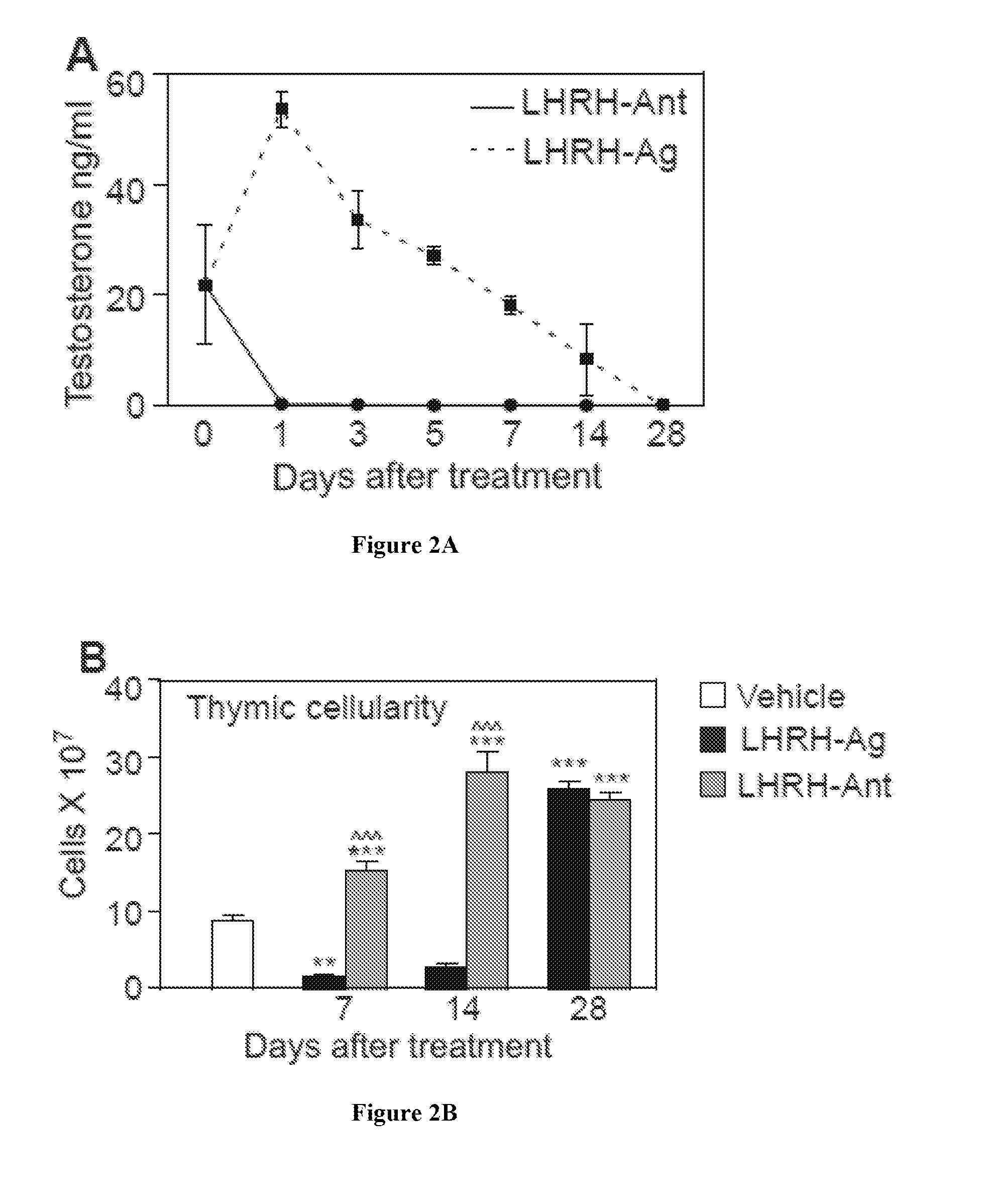 Hematopoietic recovery from radiation injury