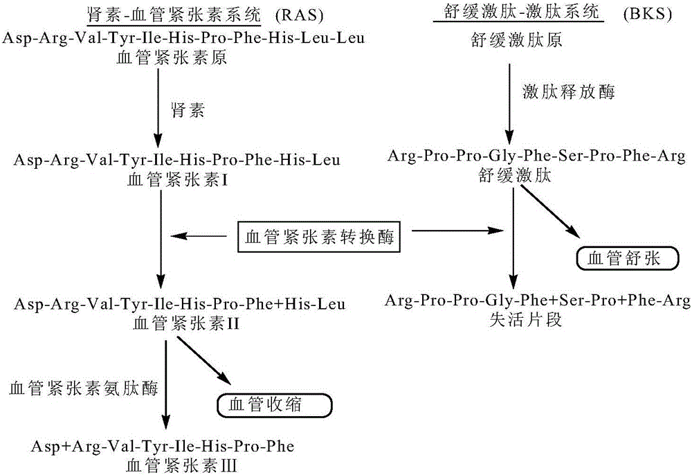 Method for preparing Chinese softshell turtle antihypertensive peptide by means of mixed enzymolysis and film filtration