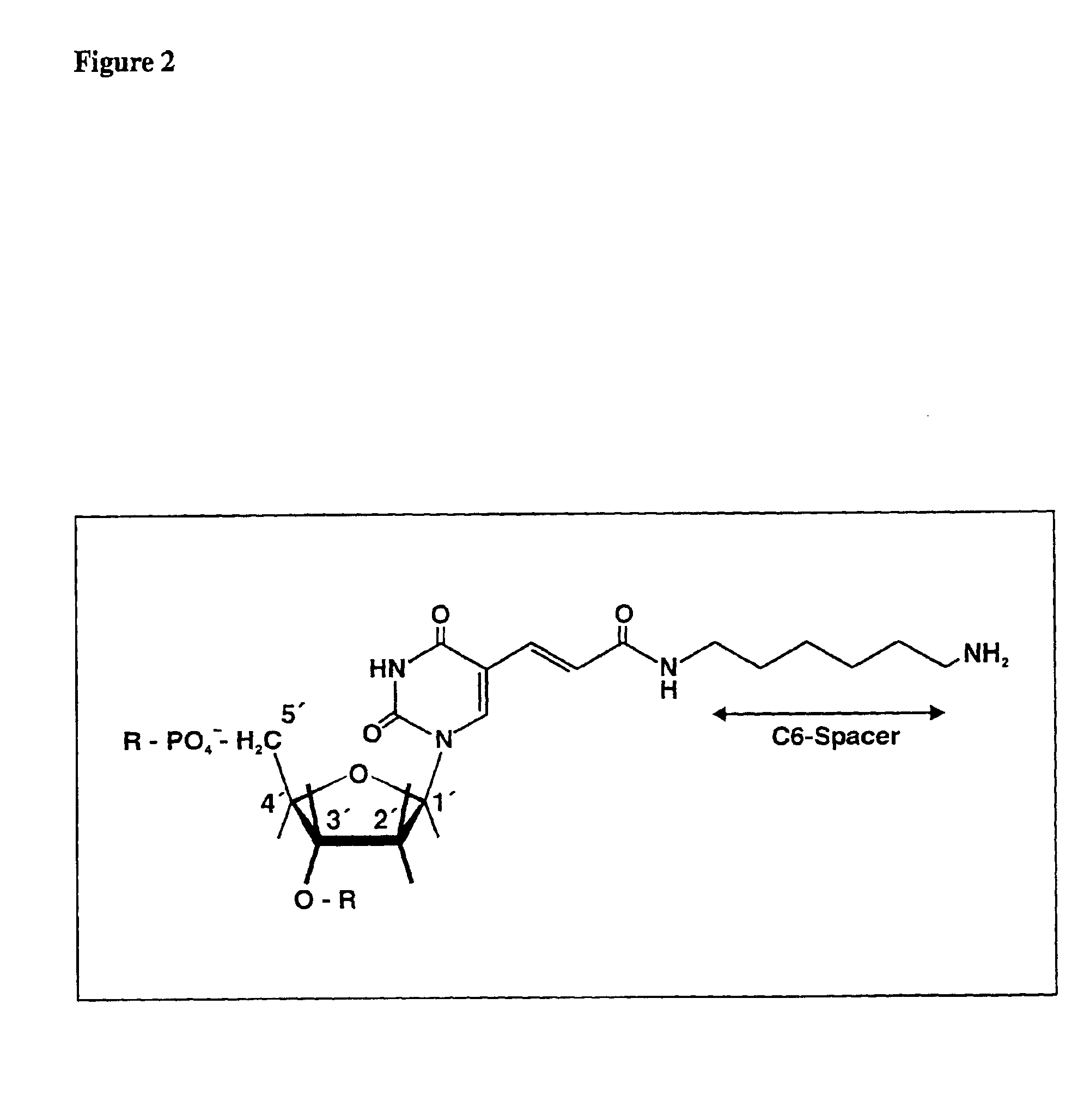 Chimerical peptide-nucleic acid fragment, process for producing the same and its for appropriately introducing nucleic acids into cell organelles and cells