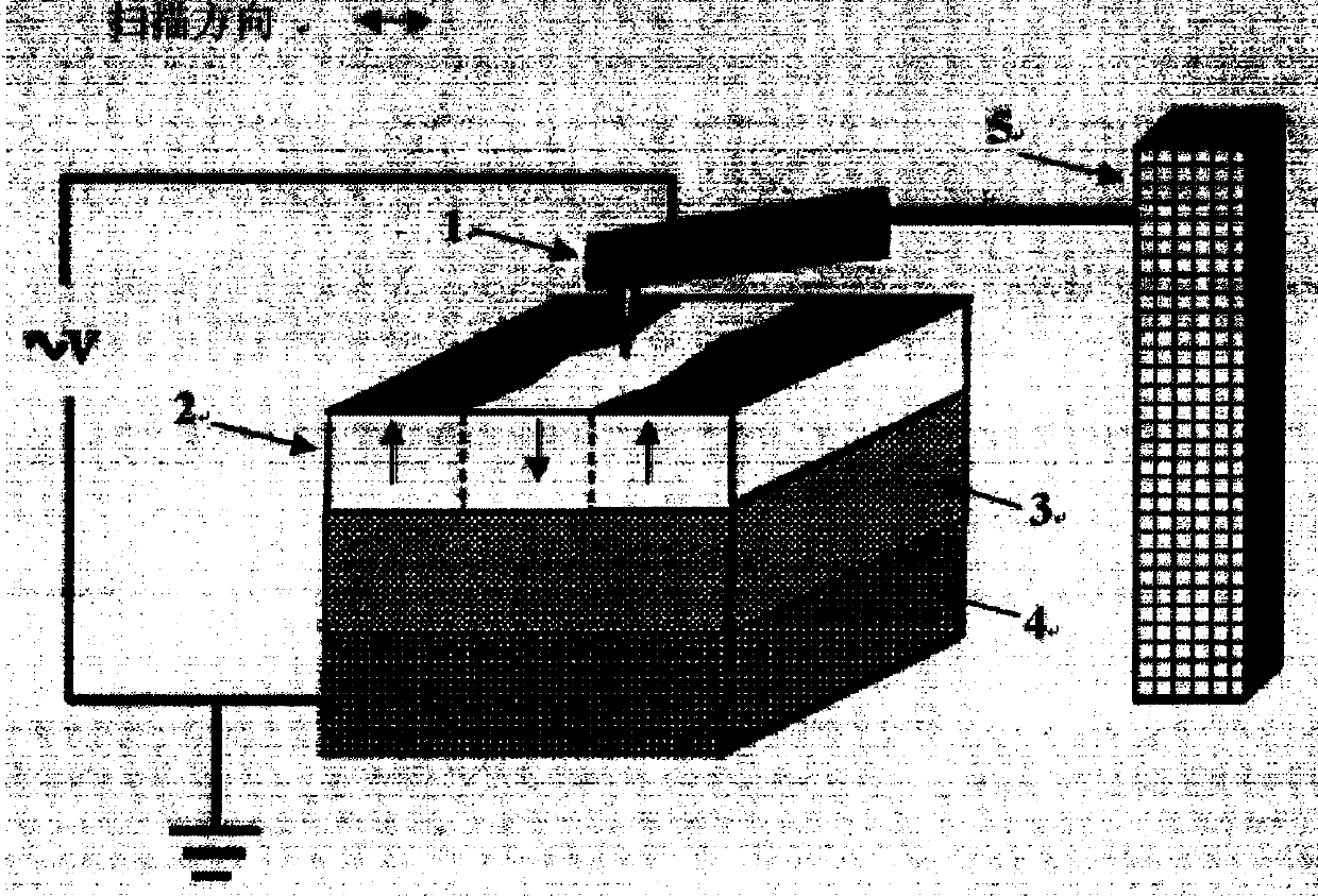 Device with manganese oxide film adjustable and controllable in magnetic domain wall and magnetic domain wall adjusting and controlling method