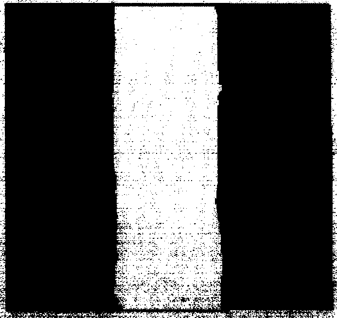 Device with manganese oxide film adjustable and controllable in magnetic domain wall and magnetic domain wall adjusting and controlling method