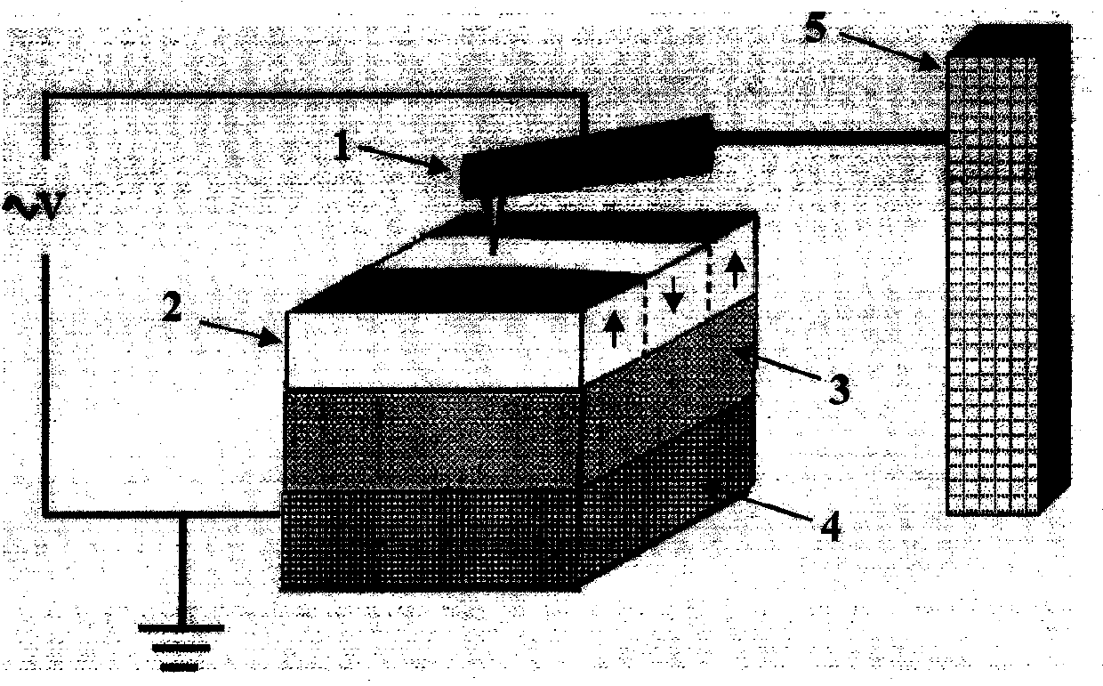 Device with manganese oxide film adjustable and controllable in magnetic domain wall and magnetic domain wall adjusting and controlling method