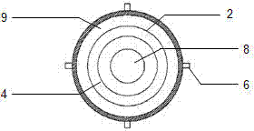 Biomass and coal fluidized bed co-gasification method