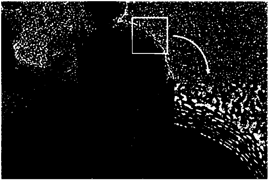 Supporting or non-supporting type transition metal @h-BN core-shell nanostructure preparation method