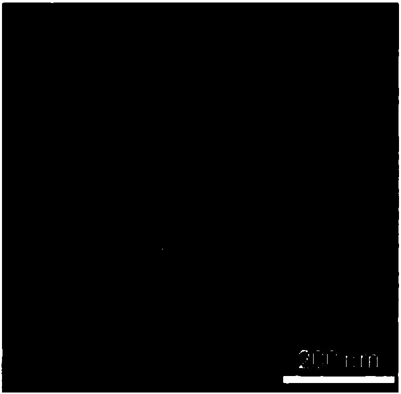 Supporting or non-supporting type transition metal @h-BN core-shell nanostructure preparation method