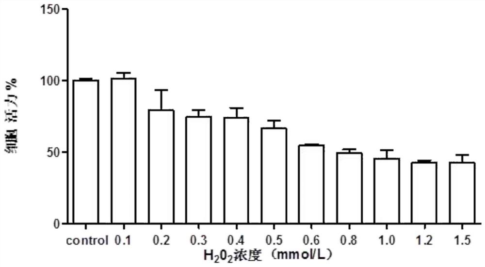 A preparation process of spirulina protein and its neuroprotective application