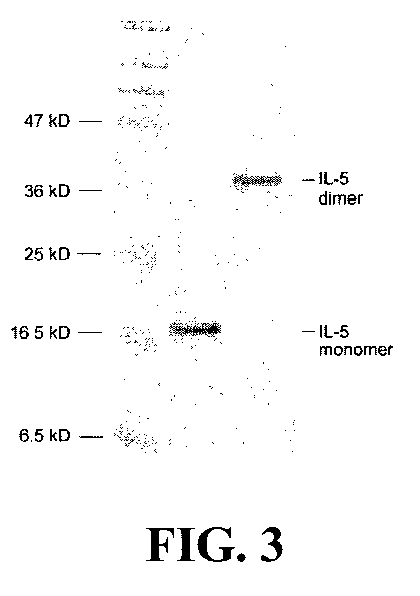 Antigen arrays for treatment of allergic eosinophilic diseases