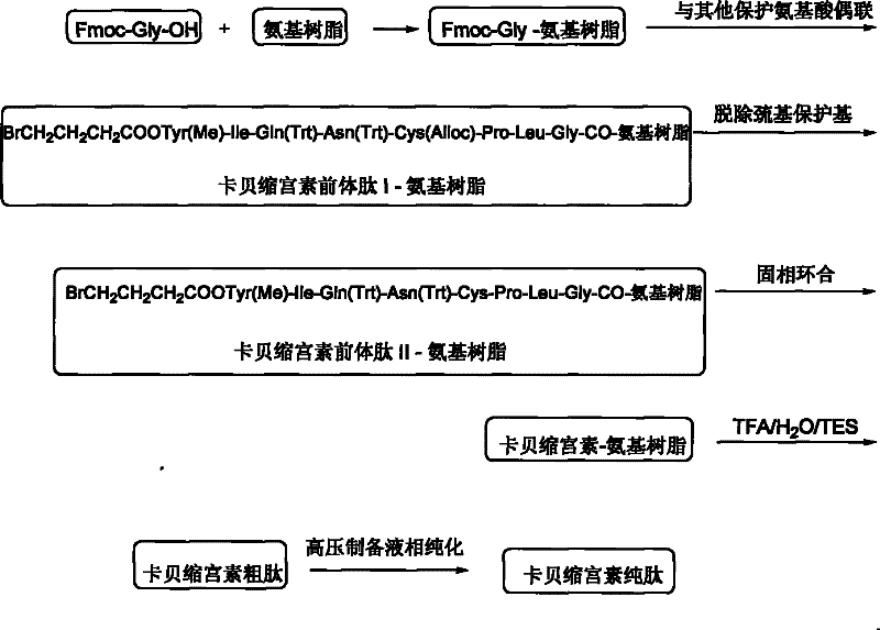 Solid phase preparation method of carbetocin