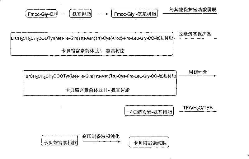 Solid phase preparation method of carbetocin