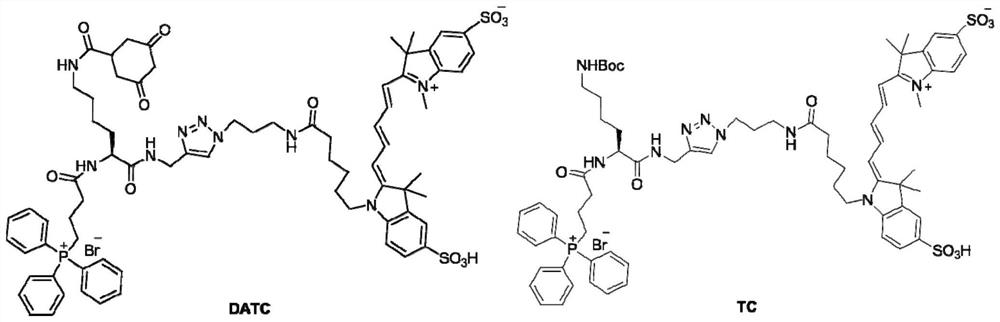 A tumor microenvironment h  <sub>2</sub> o  <sub>2</sub> Responsive cross-linked near-infrared molecular probes and their applications