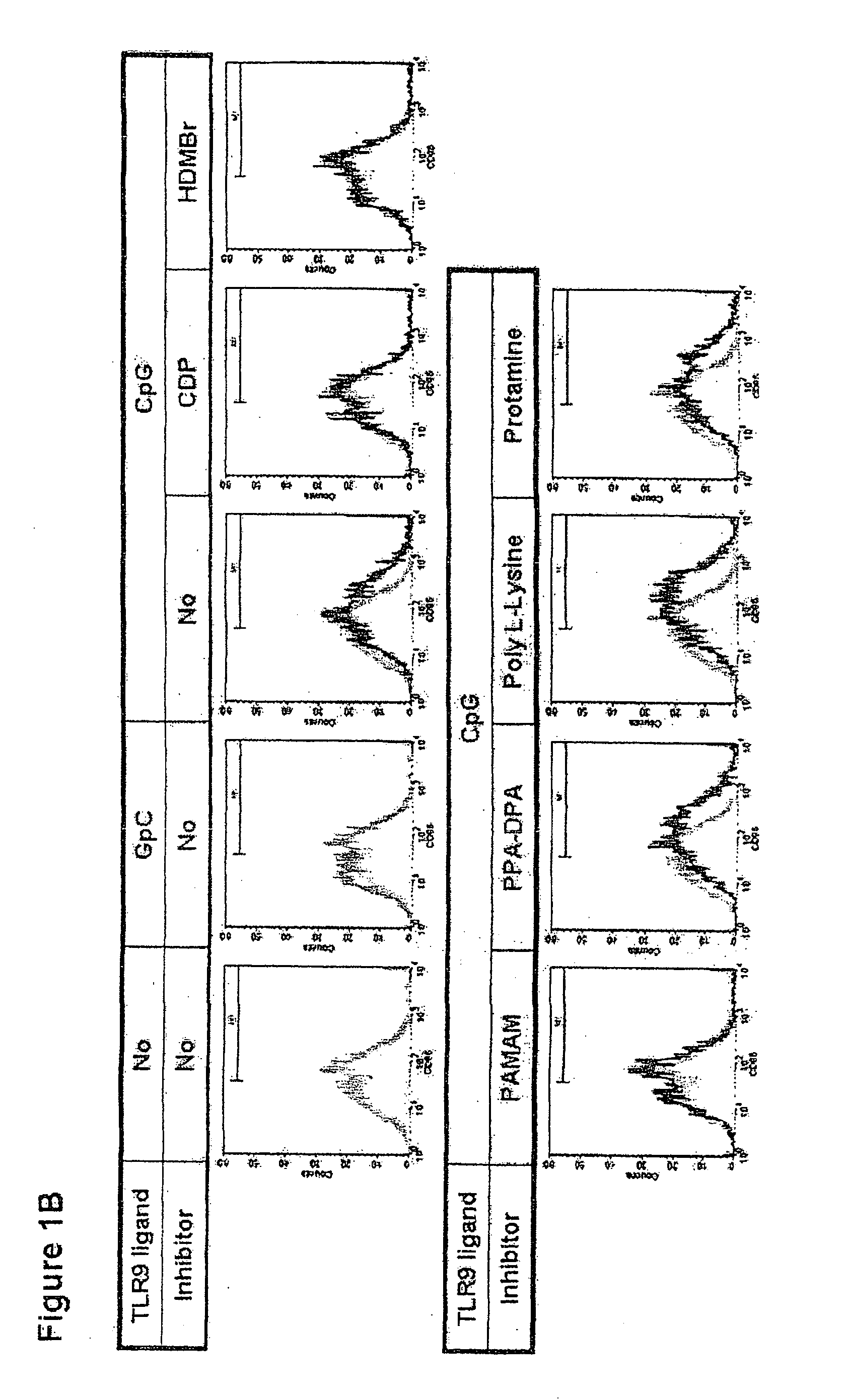 Inhibition of endosomal toll-like receptor activation