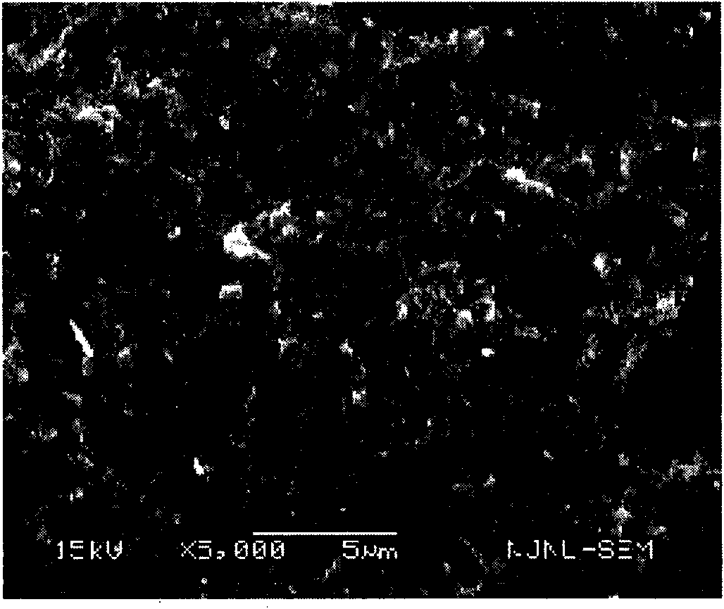 Dental machinable diatomite full ceramic restoration material and preparation method thereof