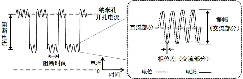 Multi-parameter nanopore monomolecular analyzer with alternating-current mode