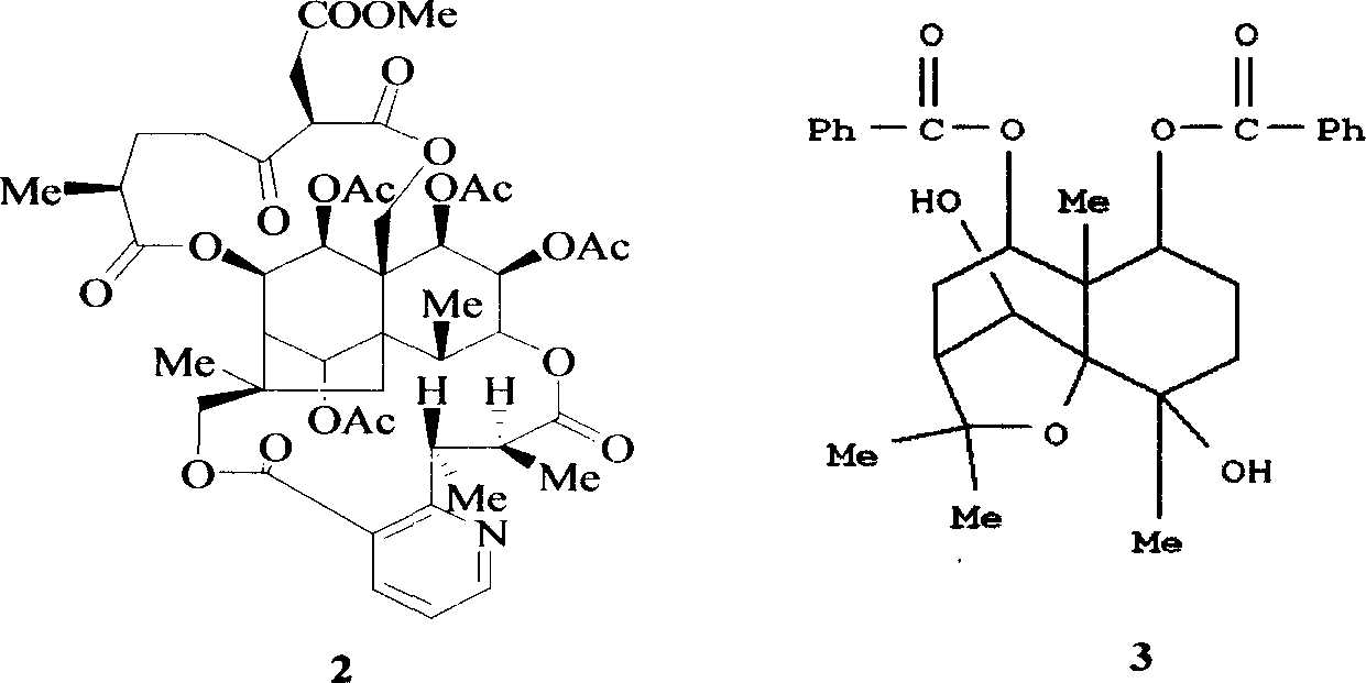 Medical usage of 2beta-hydroxyilicicacid in inhibiting hepatitis B