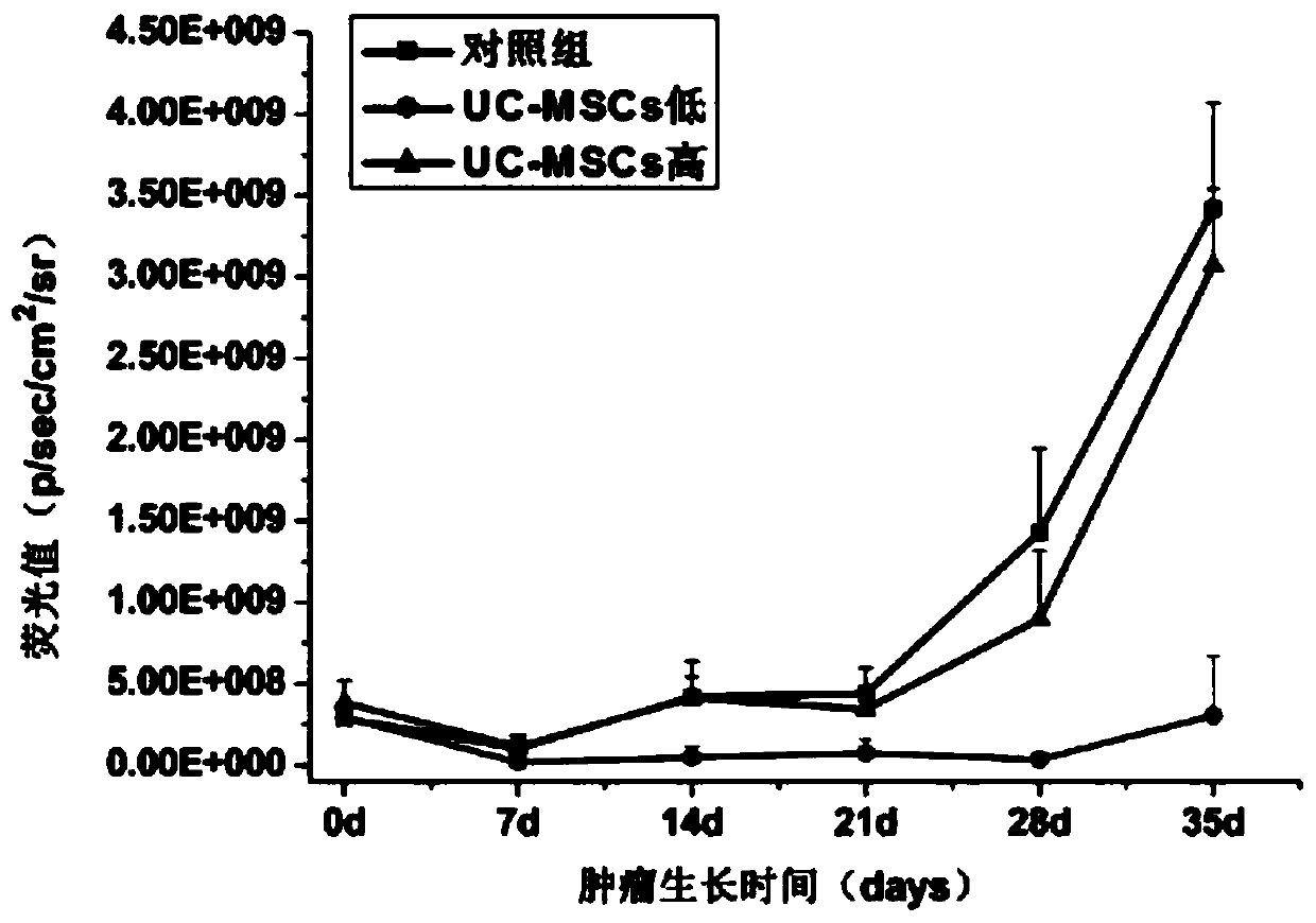 Experimental method for preventing generation and growth of liver cancer by using umbilical cord mesenchymal stem cells