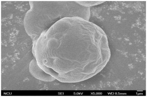 Method for producing fat microcapsules through low temperature electrostatic spray drying