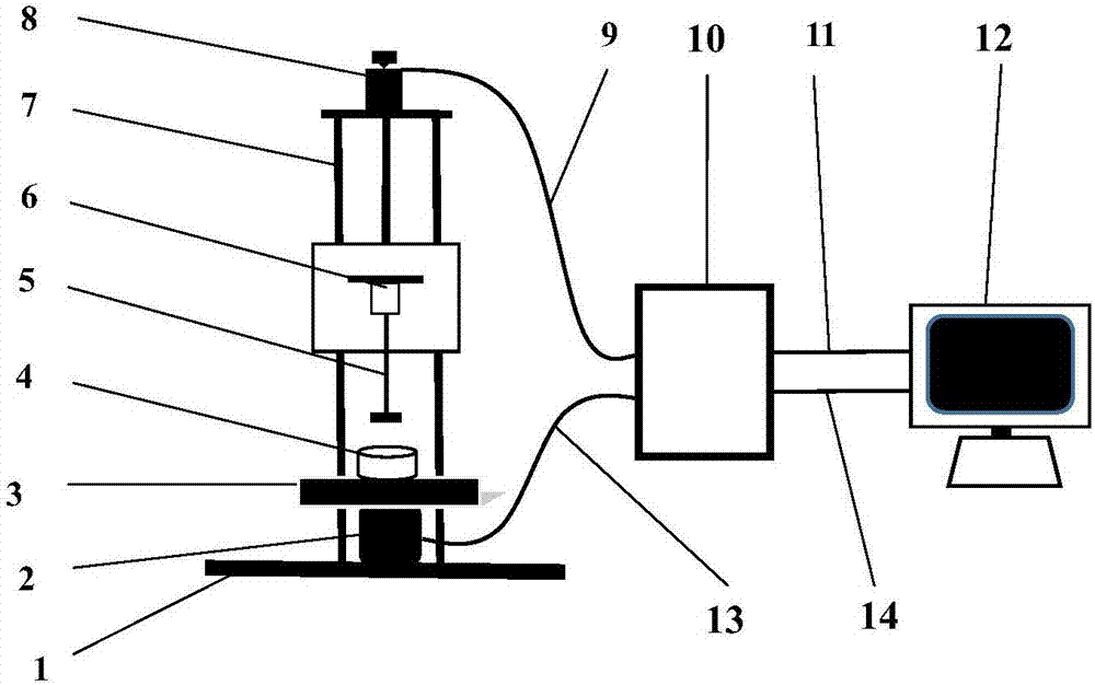 System and method for detecting elasticity of livestock and poultry meat as well as fruits and vegetables