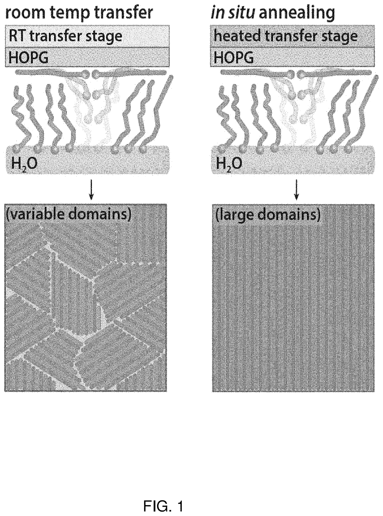 In situ thermal control of langmuir-schaefer transfer