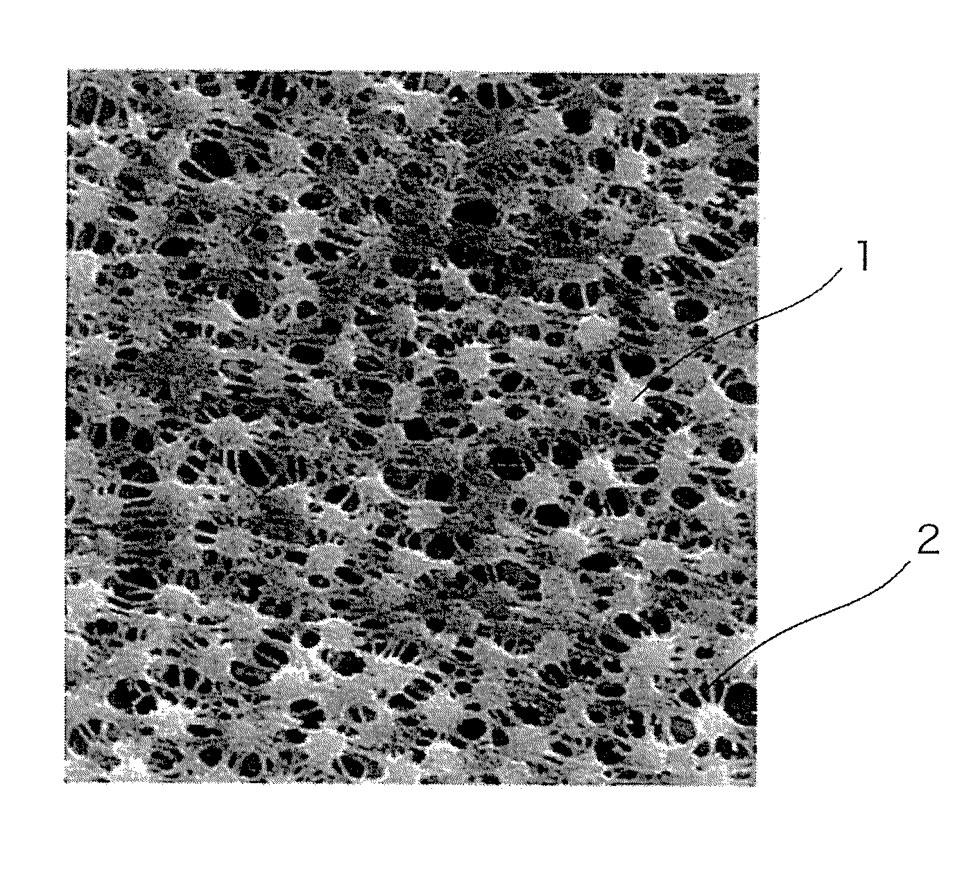 Microporous membrane and manufacturing process therefor