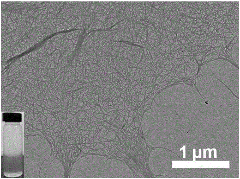 Method for preparing carbon nanofiber aerogel from wood