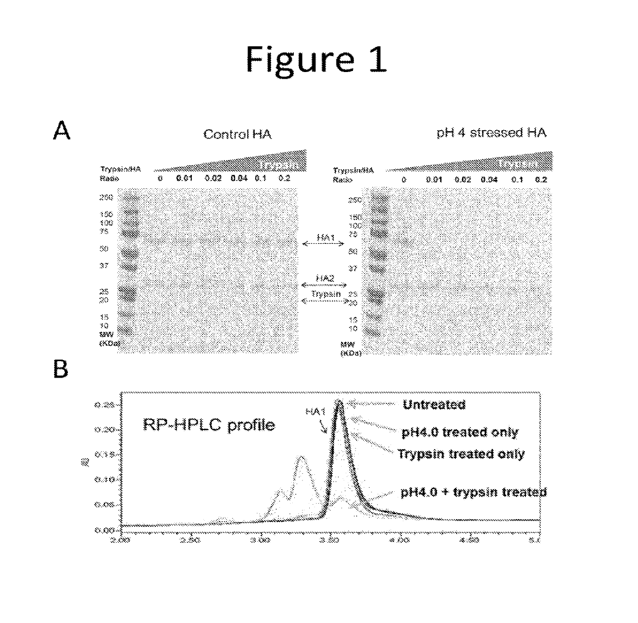 Influenza potency assays