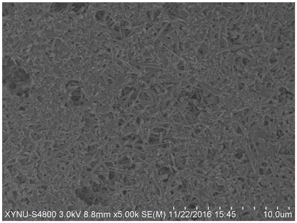 Method for improving property of magnesium oxychloride cementing material by composite modification