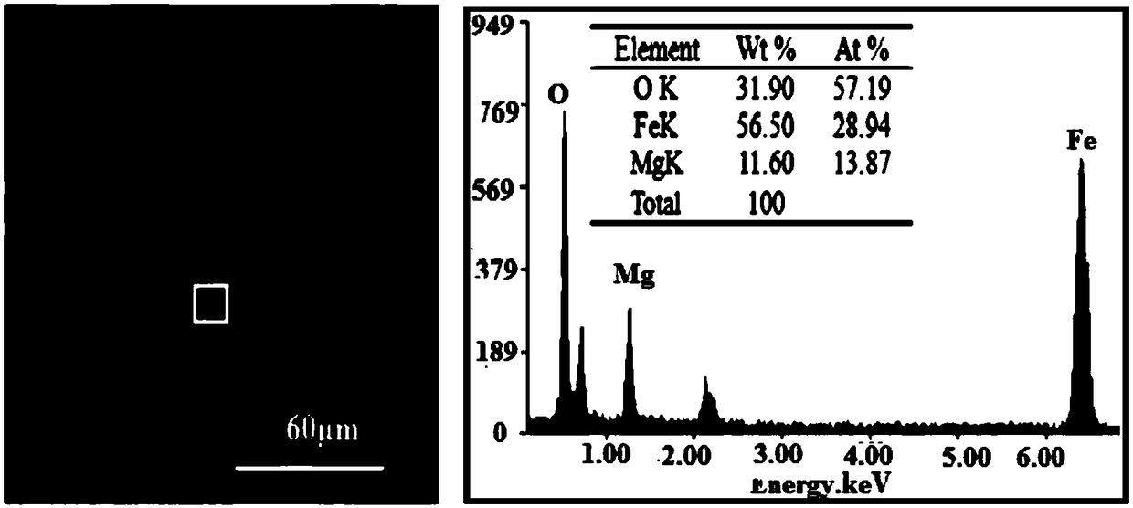 Bismuth vanadate-magnesium ferrite composite photocatalyst, and preparation method and application thereof