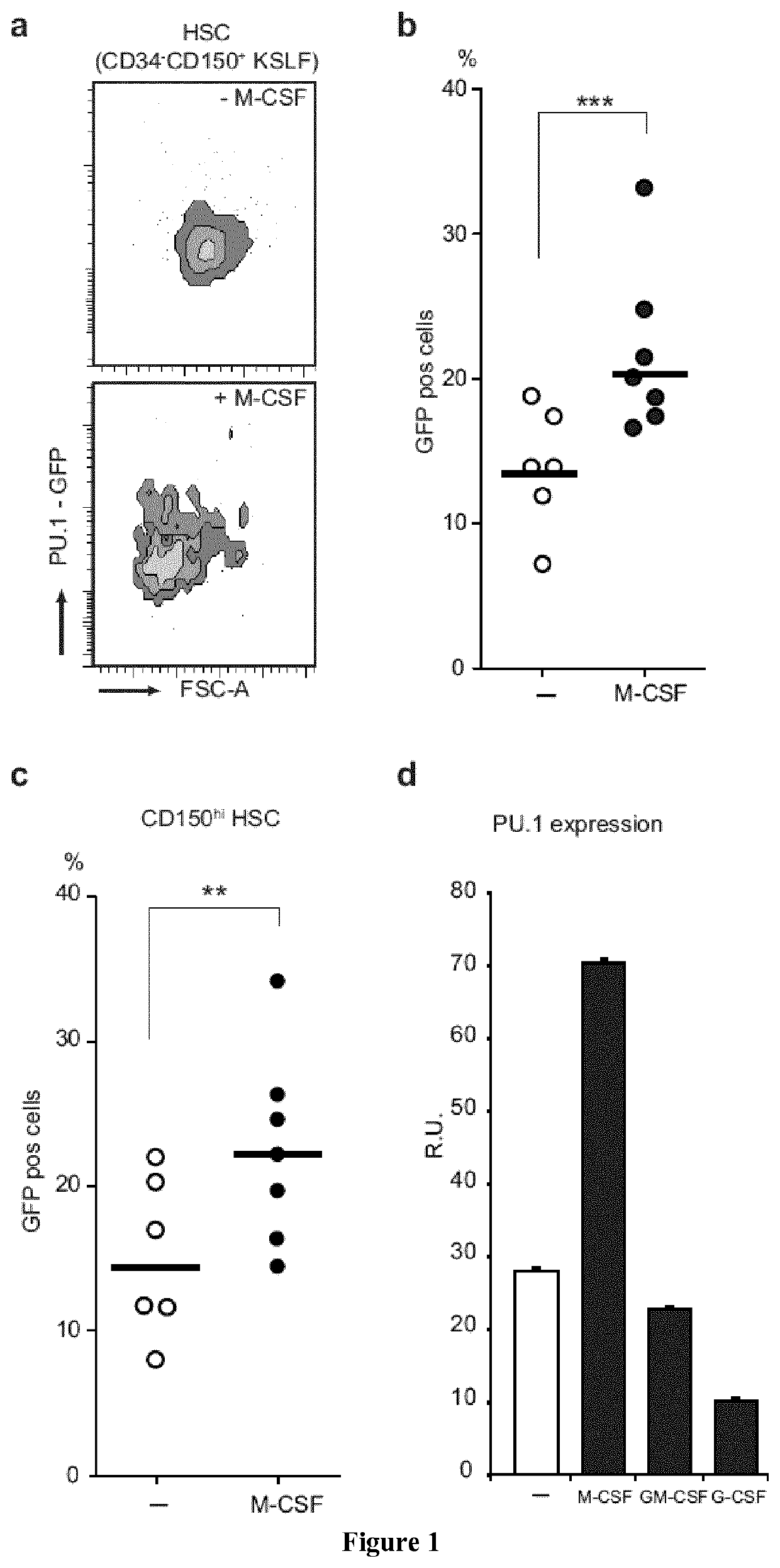 Use of M-CSF for preventing or treating myeloid cytopenia and related complications