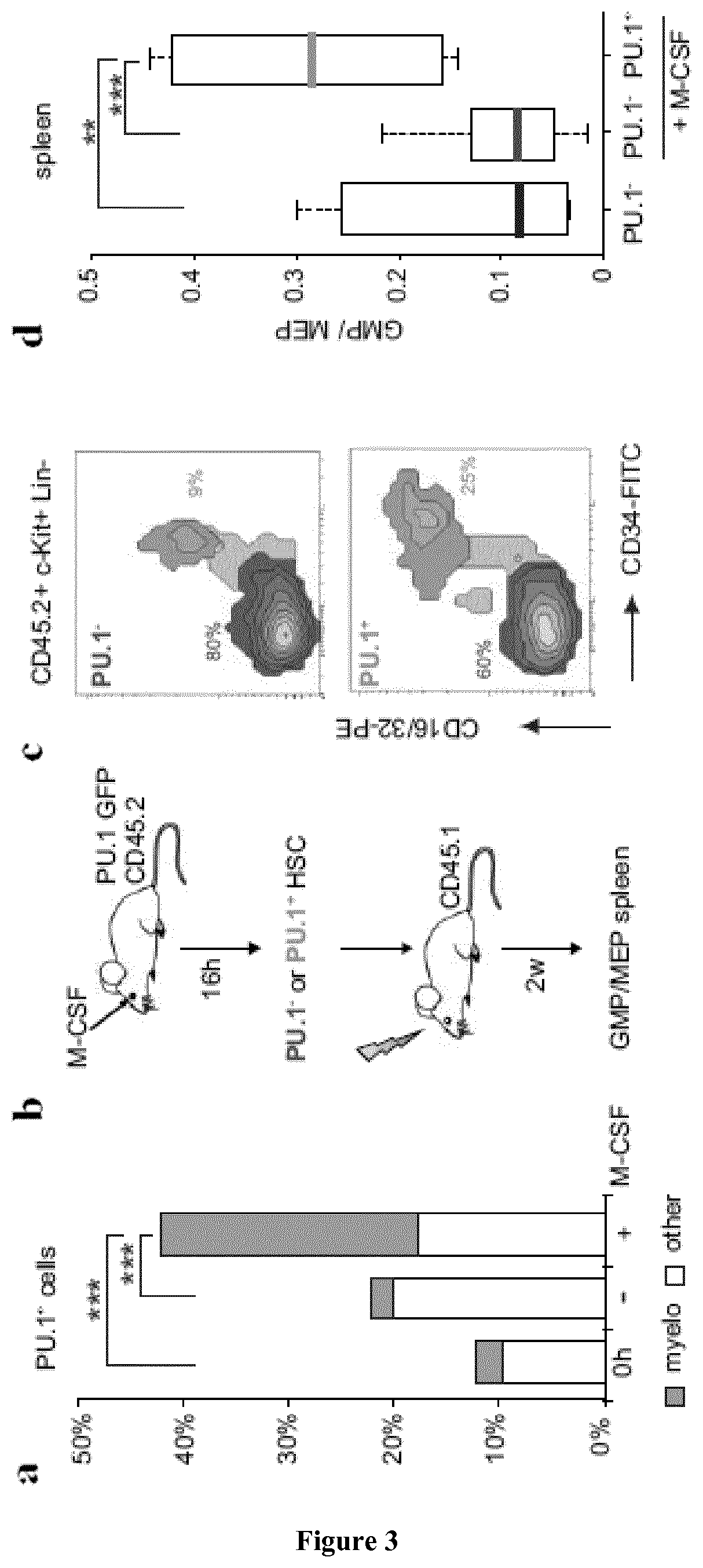 Use of M-CSF for preventing or treating myeloid cytopenia and related complications