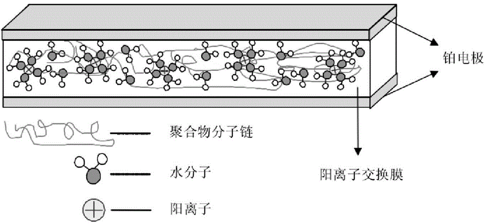 Biomimetic structure type polymer actuator and preparation method thereof