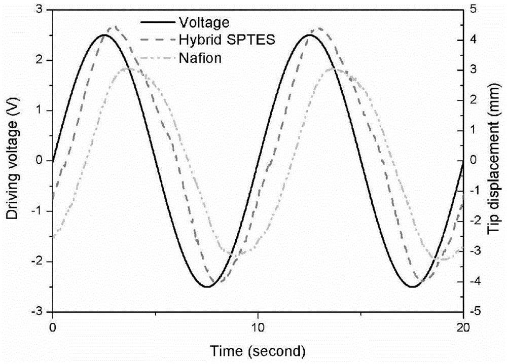 Biomimetic structure type polymer actuator and preparation method thereof