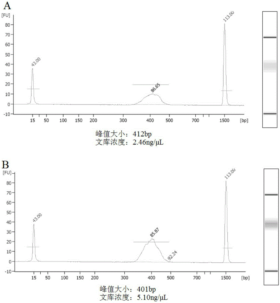 Method for preparing novel genome simplified methylation sequencing library