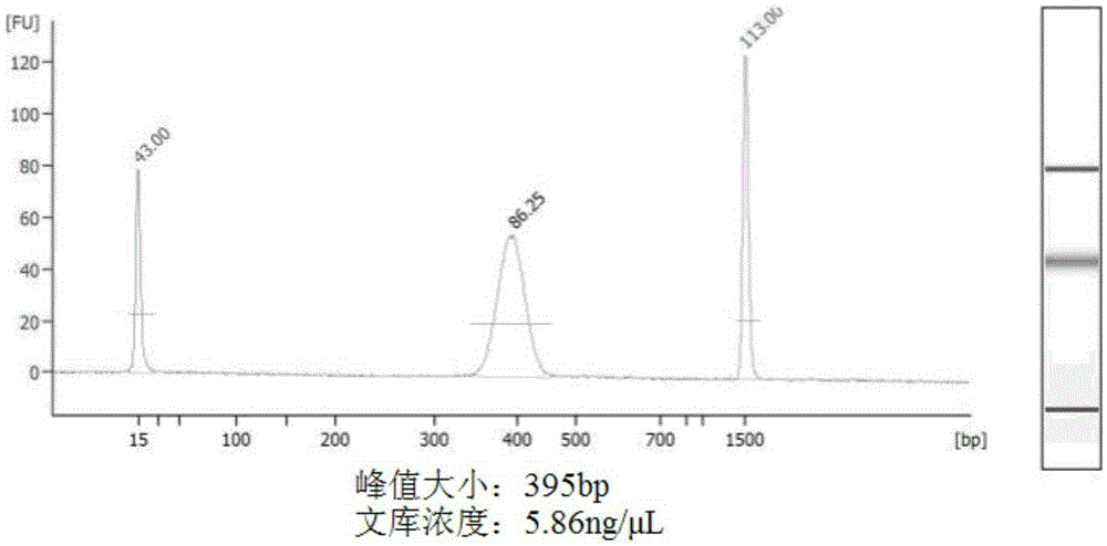 Method for preparing novel genome simplified methylation sequencing library