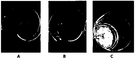 Natamycin microemulsion and preparation method thereof