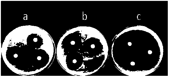 Natamycin microemulsion and preparation method thereof