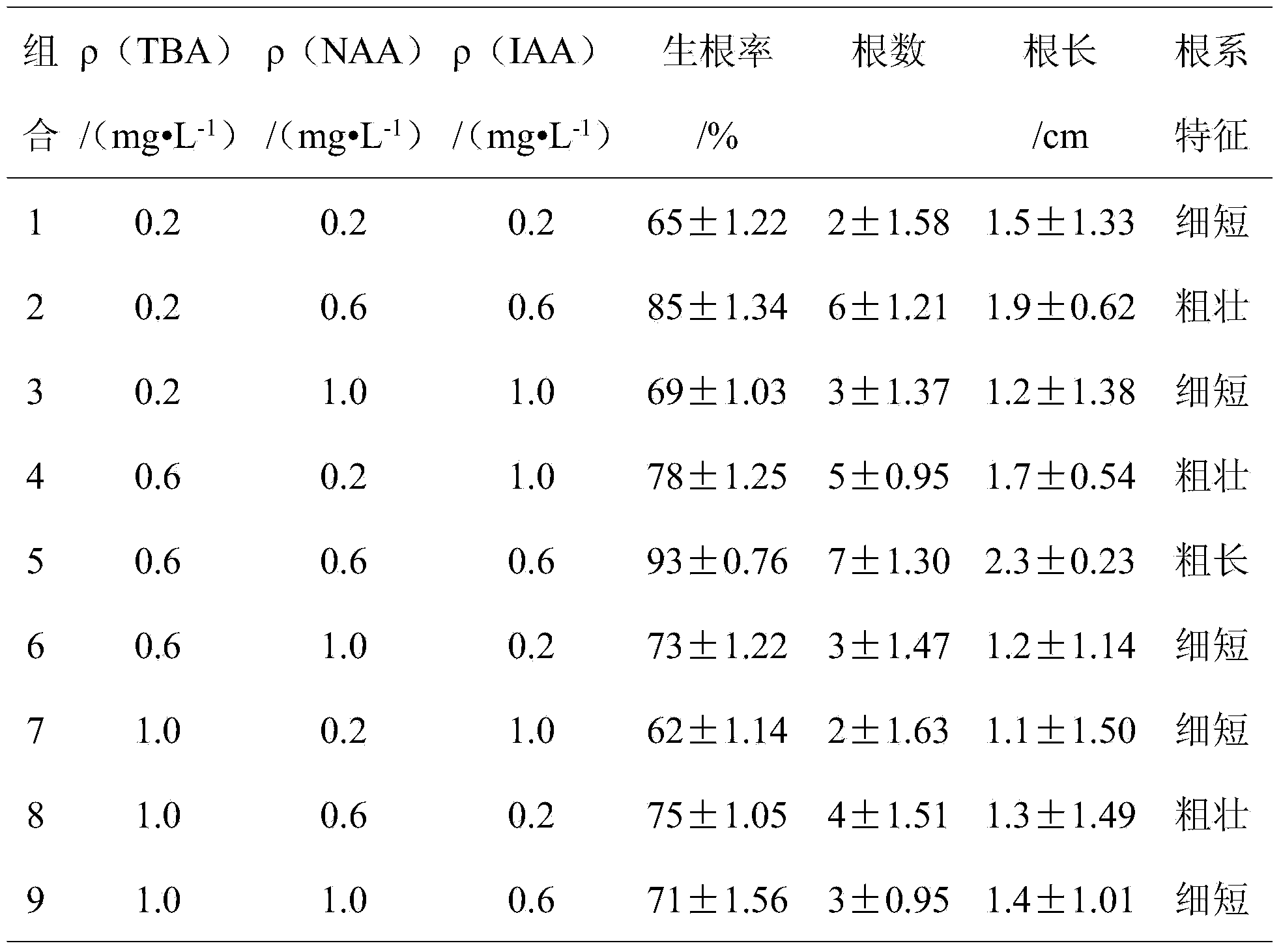 Rapid propagation method for tissue culture of phoebe zhennan