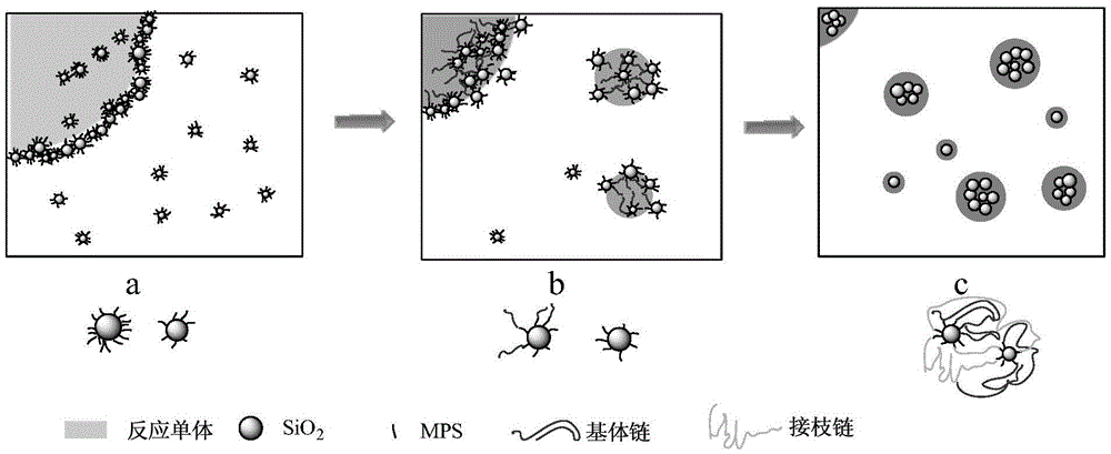 A kind of preparation method of pomegranate-shaped organic-inorganic nanocomposite microspheres