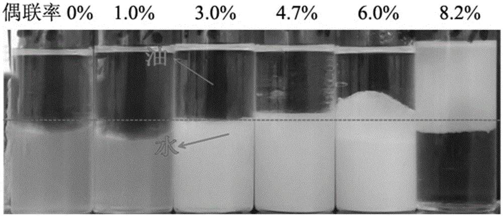 A kind of preparation method of pomegranate-shaped organic-inorganic nanocomposite microspheres