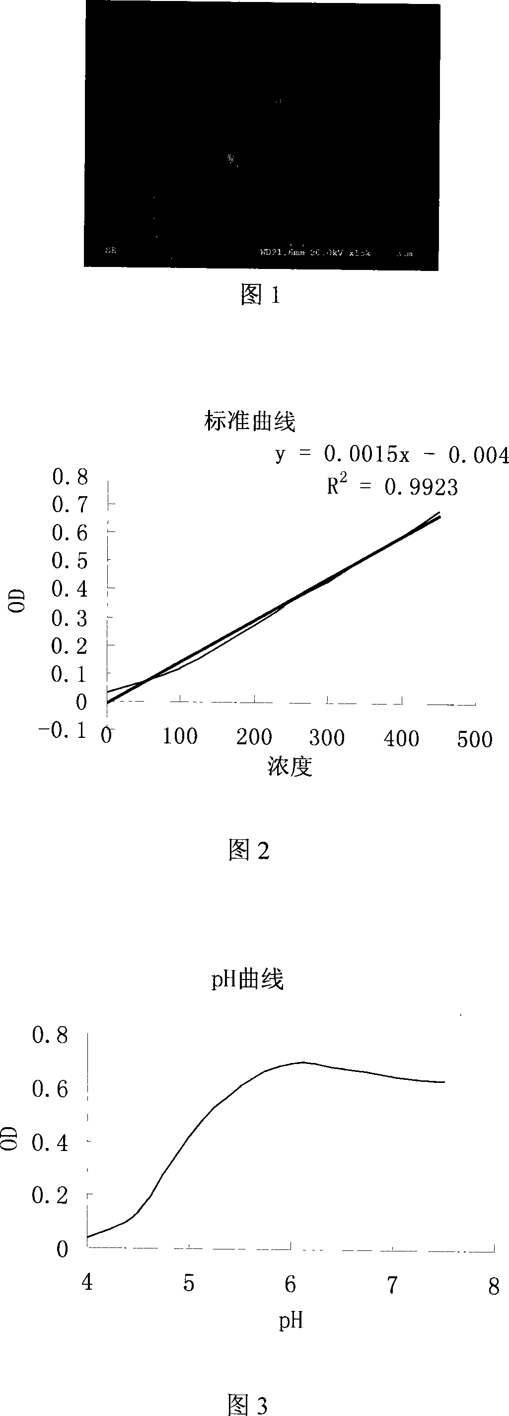 Producing strain for beta-dextranase