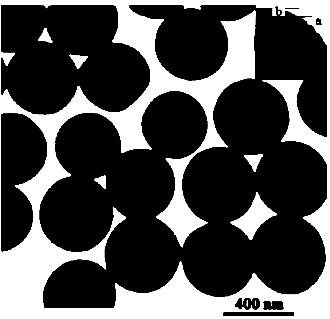 Sibutramine magnetic molecularly imprinted polymer and preparation method thereof