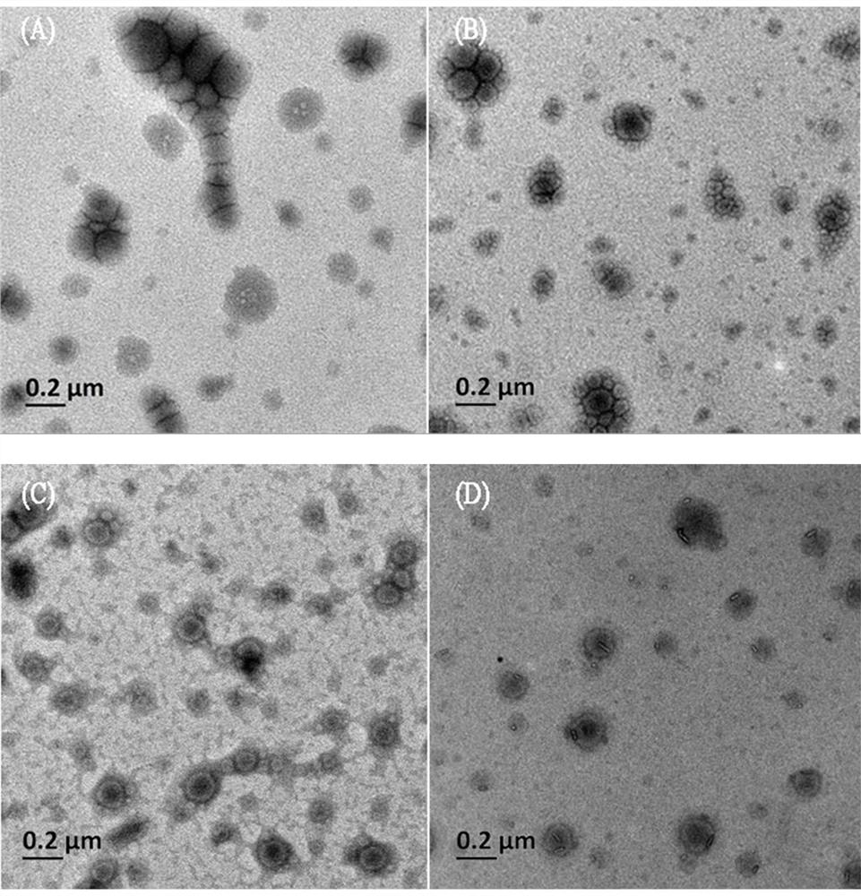 A preparation method of an amphiphilic surfactant and a controllable preparation method of zwitterionic nano hollow capsules