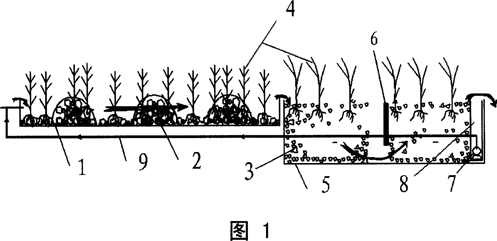 Nutrient-rich river-lake water body and initial rainwater composite artificial wet land treating system