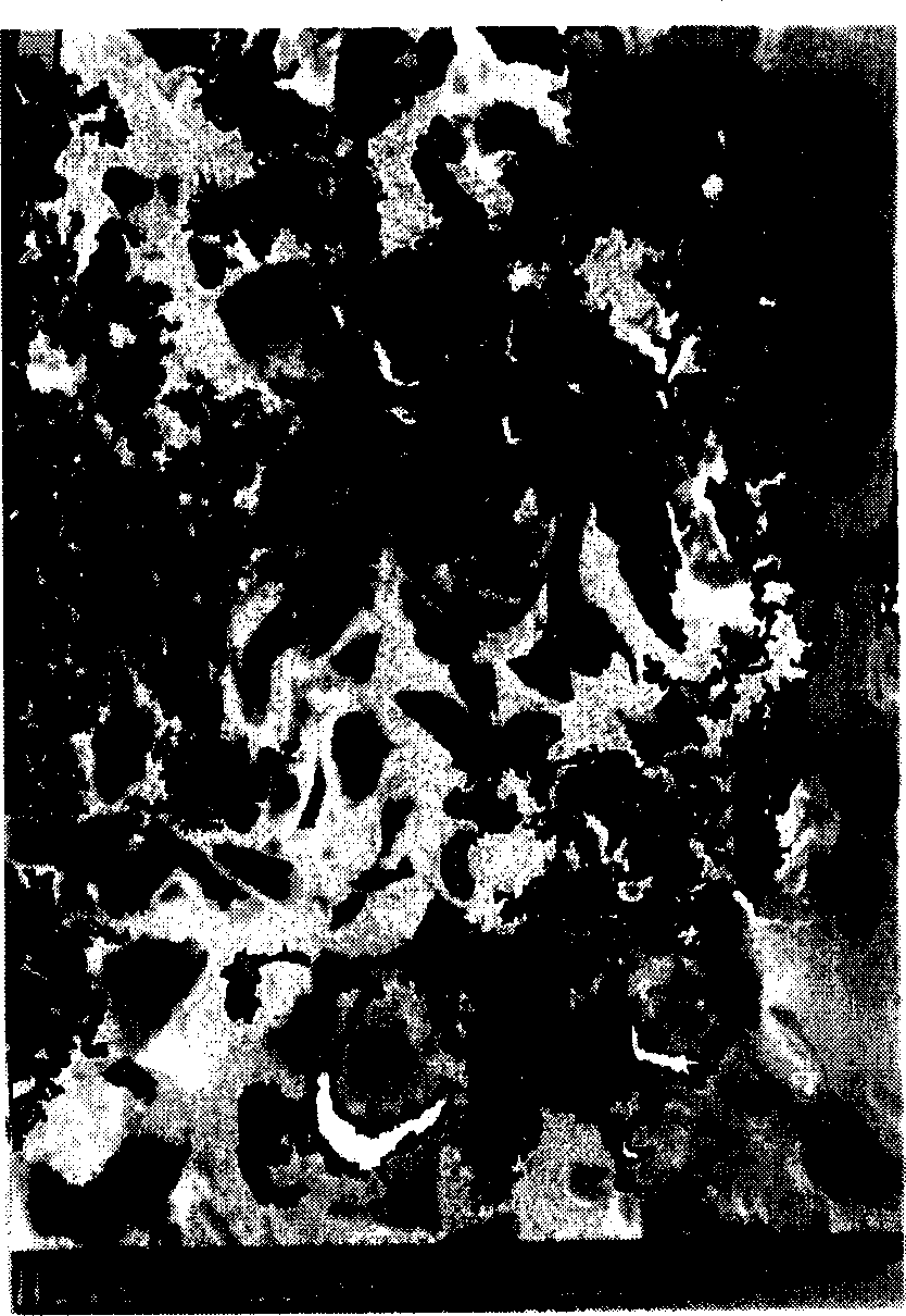 Preparation method of hard mutual dissolve alloy and its special device