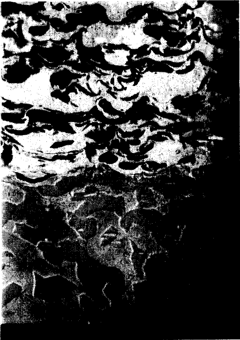 Preparation method of hard mutual dissolve alloy and its special device